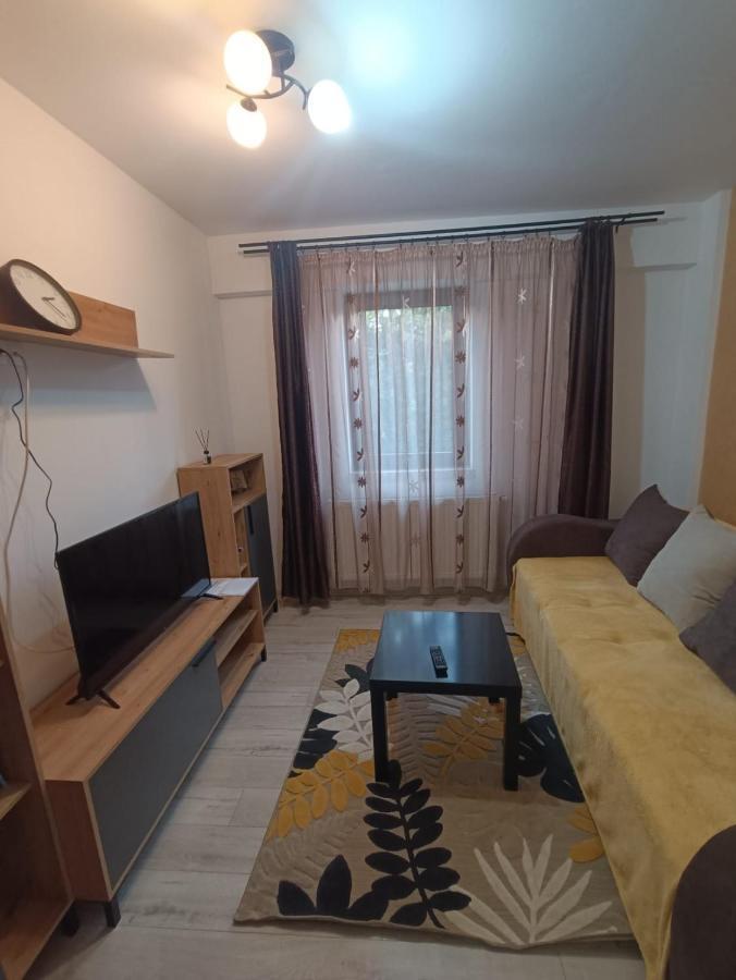 Daylight Apartments Сибиу Екстериор снимка